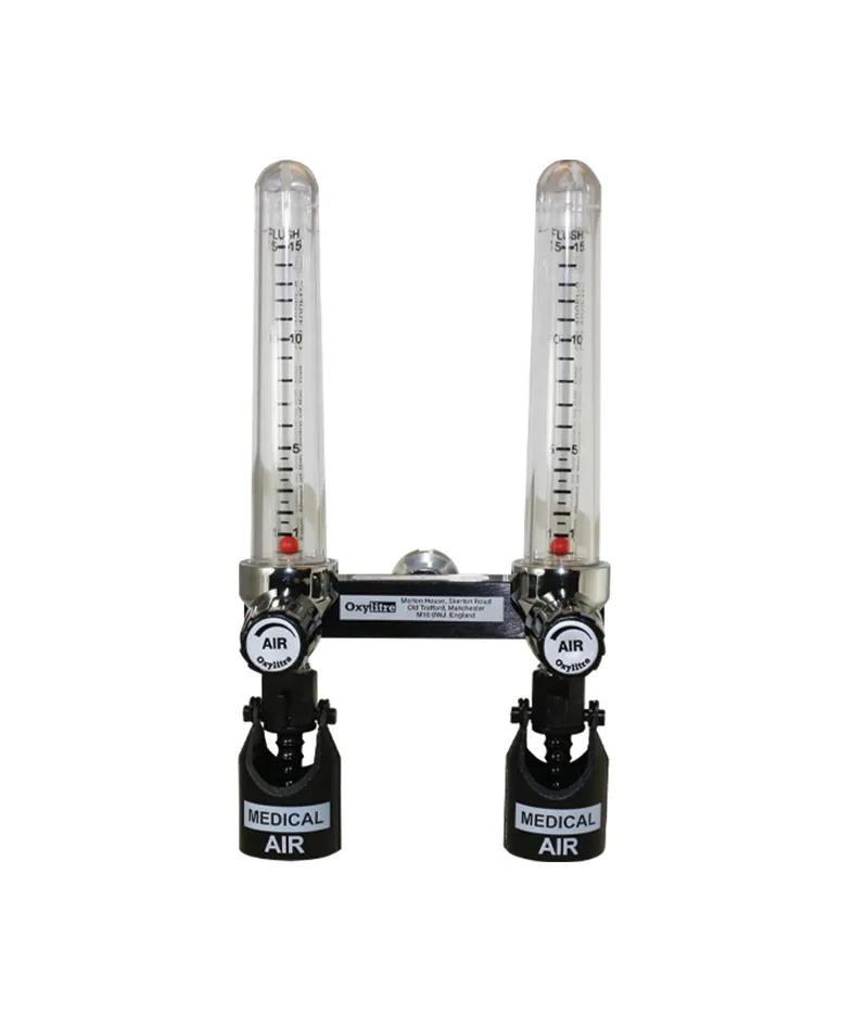 Twin Pipeline Flowmeter back bar mounted air