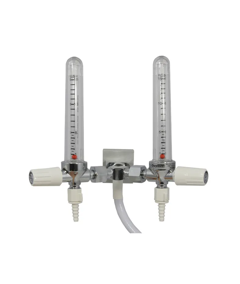 Twin Standard Pipeline Flowmeter rail mounted oxygen