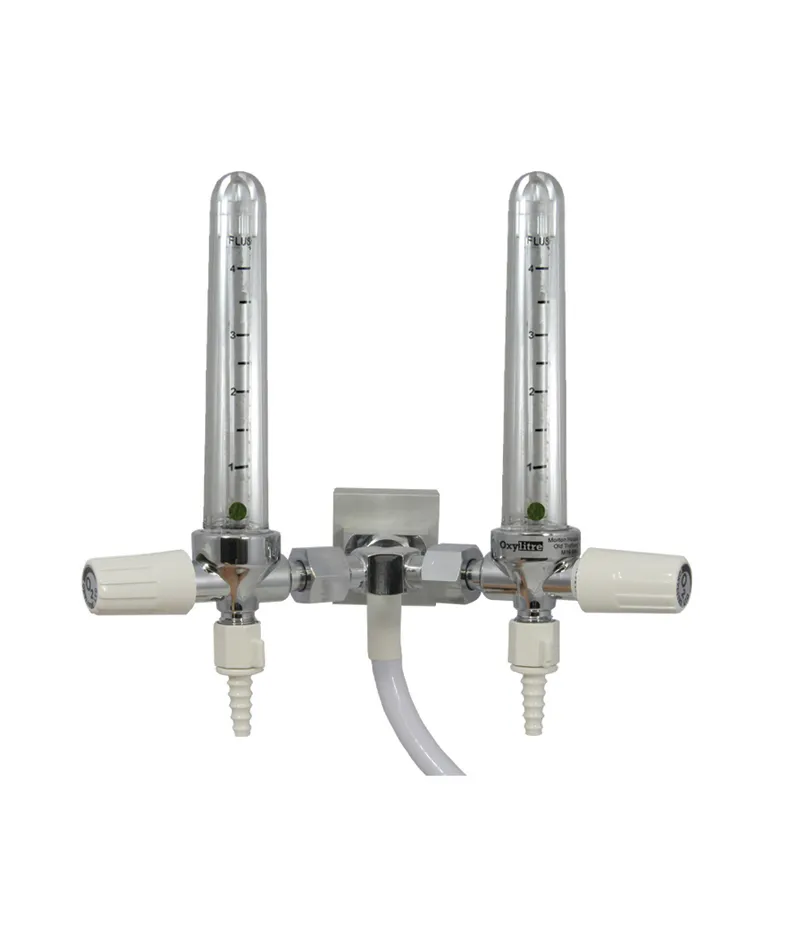 Twin Standard Pipeline Flowmeter rail mounted oxygen